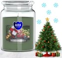 AURA Świeca Zapachowa ZIMOWE DRZEWKO 100h snd99-348