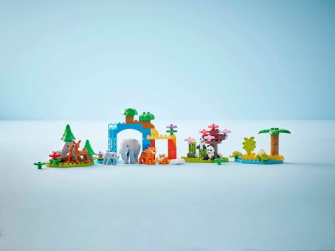 10446 - LEGO DUPLO - Rodziny dzikich zwierząt 3 w 1
