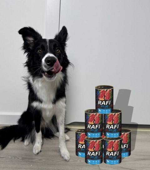Karma Mokra Dla Psów RAFI z Jagnięciną, Borówką i Żurawiną 400g - 48 szt.