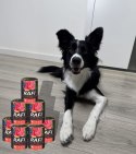 Karma Mokra Dla Psów RAFI z Wołowiną, Borówką i Żurawiną 400g - 6 szt.