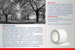 BROS - lep do drzew 5mb