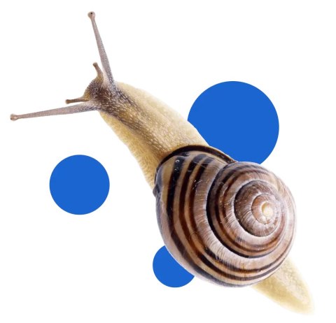 BROS - Snacol 3GB zwalcza ślimaki 250g