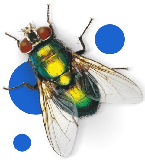 BROS - Spray Do Śmietników 400ml - Zestaw z Uchwytem