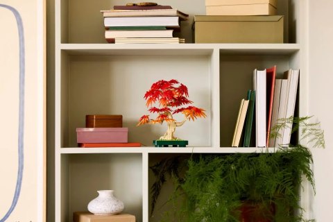 10348 - LEGO The Botanical Collection - Klon palmowy bonsai