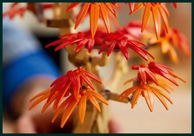 10348 - LEGO The Botanical Collection - Klon palmowy bonsai