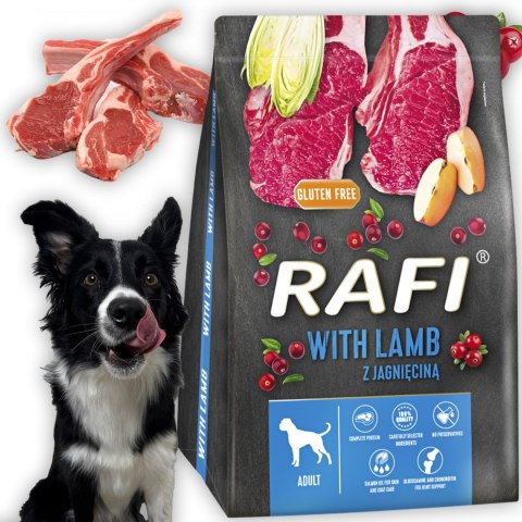 Sucha Karma Dla Psa RAFI Adult z Jagnięciną 3 kg - 1 szt.