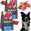 Sucha Karma Dla Psa RAFI Adult z Jagnięciną 3 kg - 2 szt.