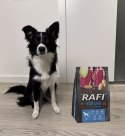 Sucha Karma Dla Psa RAFI Adult z Jagnięciną 3 kg - 2 szt.