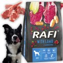 Sucha Karma Dla Psa RAFI Adult z Jagnięciną 3 kg - 2 szt.