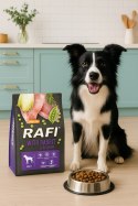 Sucha Karma Dla Psa RAFI Adult z Królikiem 3 kg - 1 szt.