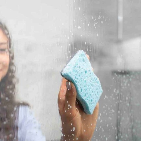 Zmywak wiskozowy z enzymami Vileda Pro Clean 2 szt.