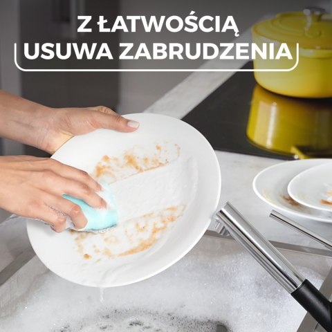 Zmywak z enzymami Vileda Pro Clean 2 szt.
