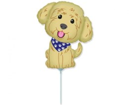 Balon foliowy Piesek, Pies Cobberdog, na patyk 35cm