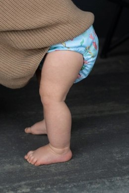 Otulacz KONIK MORSKI