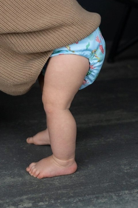 Otulacz KONIK MORSKI