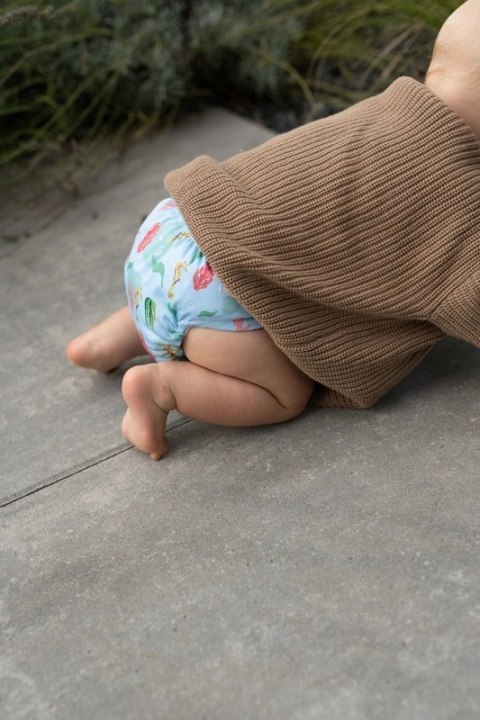 Otulacz KONIK MORSKI