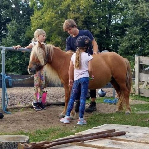 Długie Legginsy Dziecięce - Neon Splash