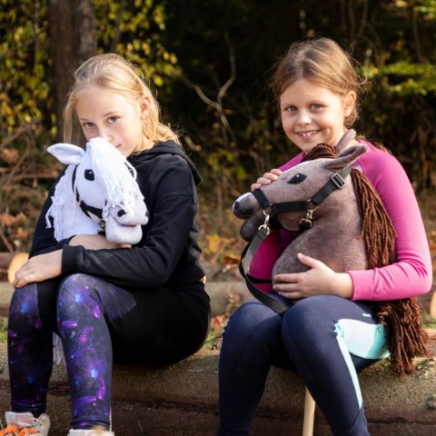 Kasztanowaty konik hobby horse duży A3 kantar HH