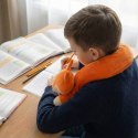 Sensonis Pluszak Obciążeniowy Lis - wsparcie sensoryczne - autyzm, ADHD