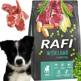 Sucha Karma Dla Psa RAFI JUNIOR z Jagnięciną 3 kg - 1 szt.