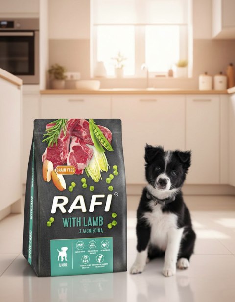 Sucha Karma Dla Psa RAFI JUNIOR z Jagnięciną 3 kg - 1 szt.