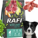Sucha Karma Dla Psa RAFI JUNIOR z Jagnięciną 3 kg - 1 szt.